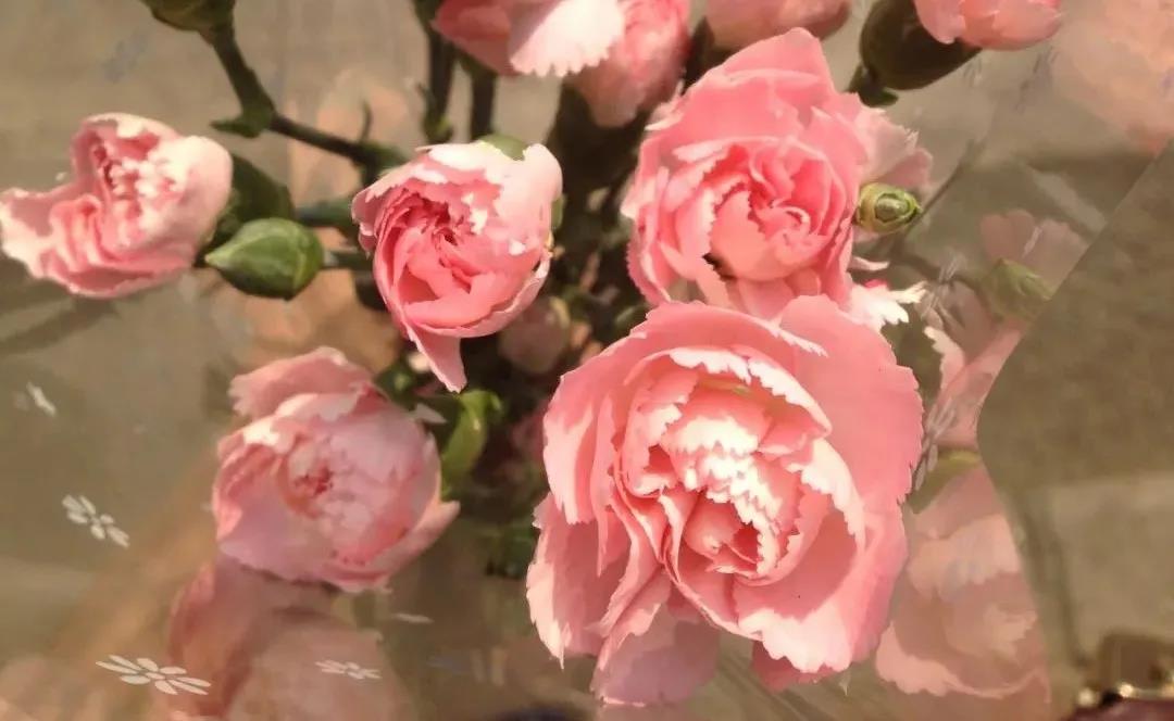 1589788786803532.jpg 5.jpg