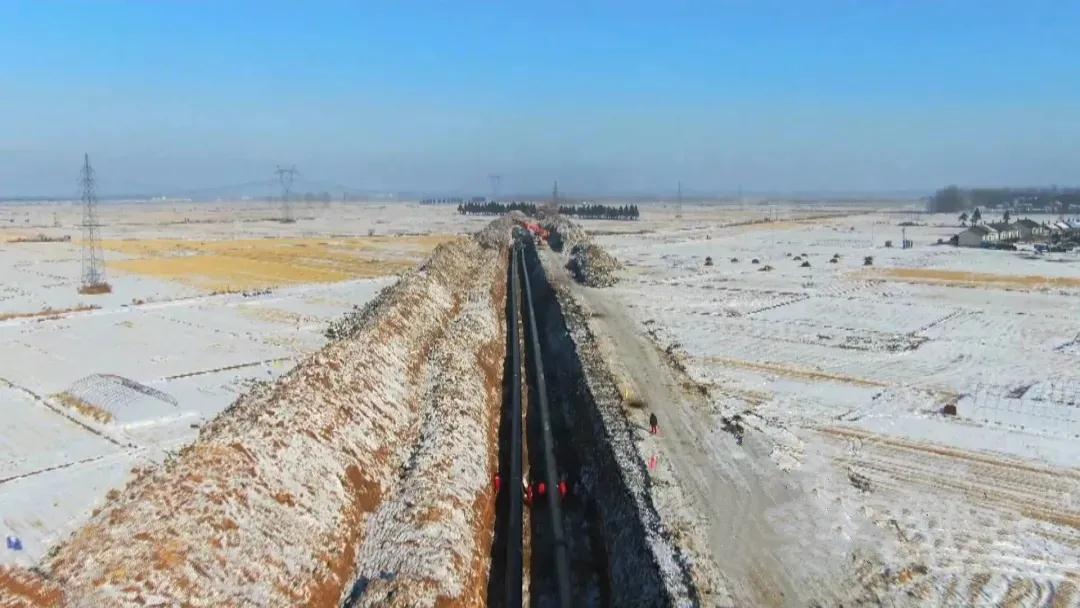 1615771144116017.jpg 4.jpg